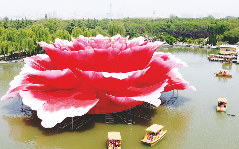 全網最大牡丹花燈“洛陽紅”綻放